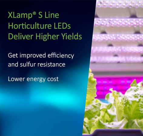 Foco LED recargable Cree™ XHP 50 20W 1600 lumens WK