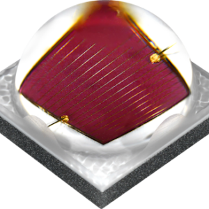 XP-L