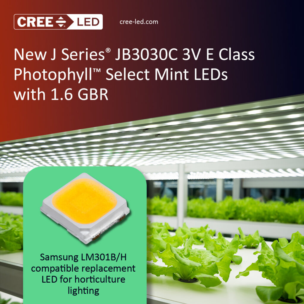 NEW J Series® JB3030C 3V E Class Photophyll™ Select Mint LEDs with a 1.6 GBR 